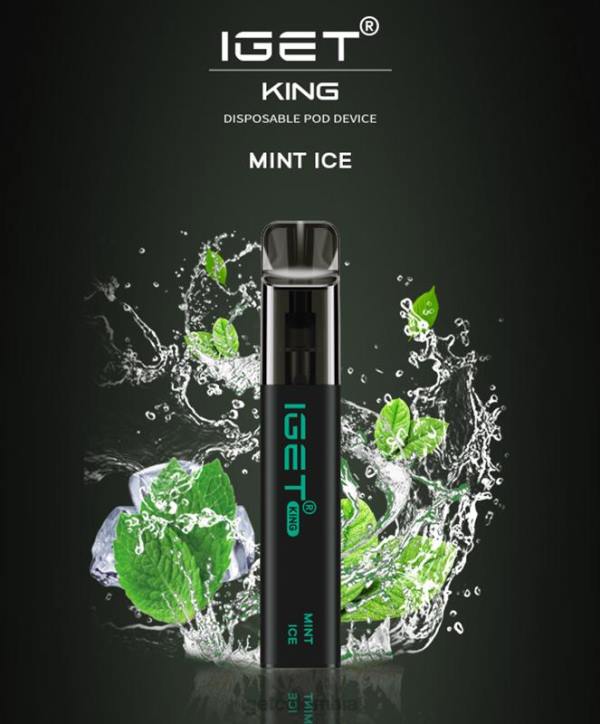 H6DP449 rey IGET - 2600 inhalaciones hielo de menta Bar Online