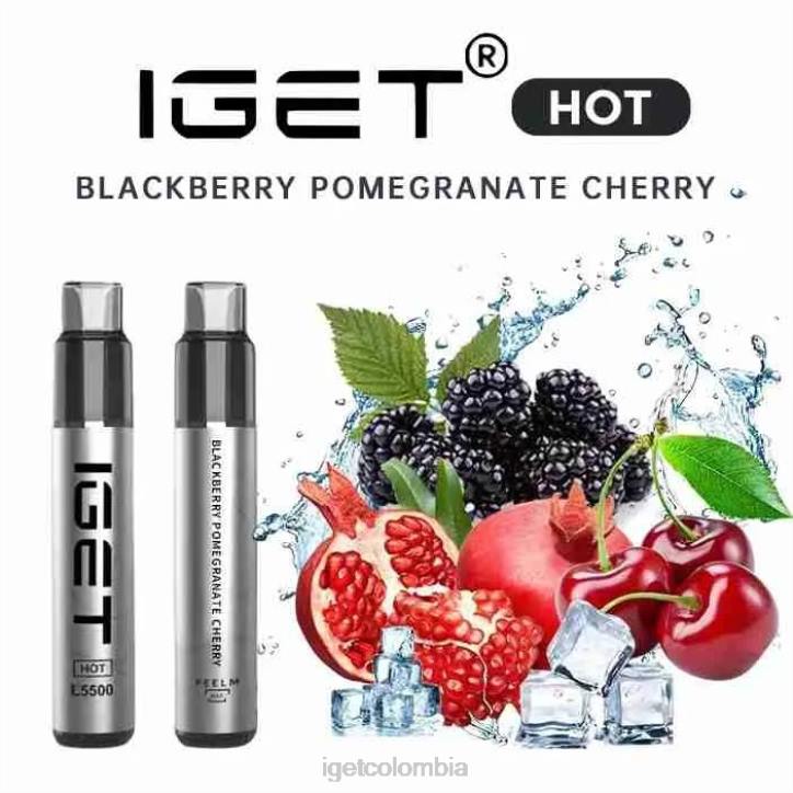 H6DP650 Me calenté - 5500 inhalaciones mora granada cereza Iget Bar Vape Online