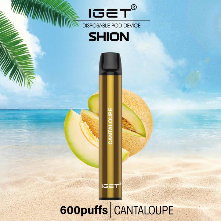 H6DP7 3 x IGET shion Cantalupo Bar Vape Online